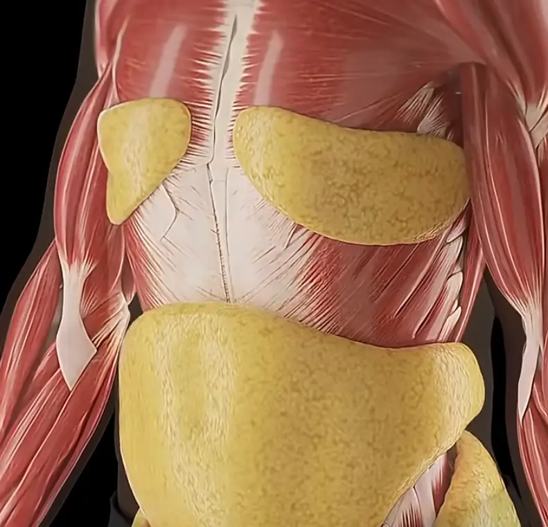 The body can enter ketosis (YouTube/FoodVFact)