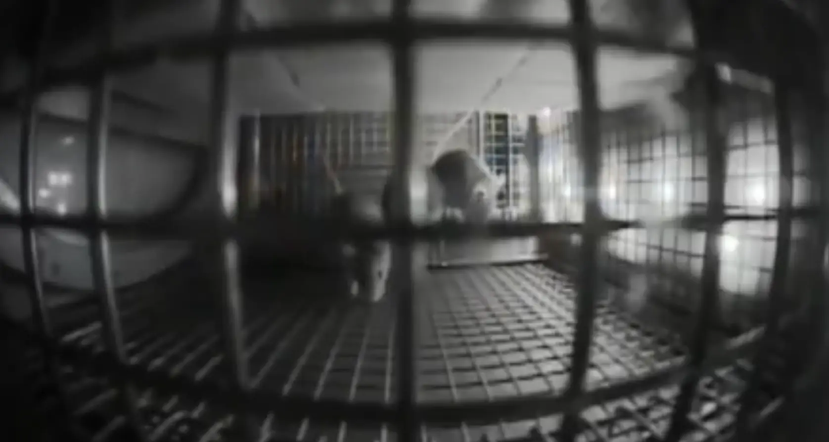 There's no clear formula when it comes to bone mass increasing/decreasing in space (YouTube/NASA)