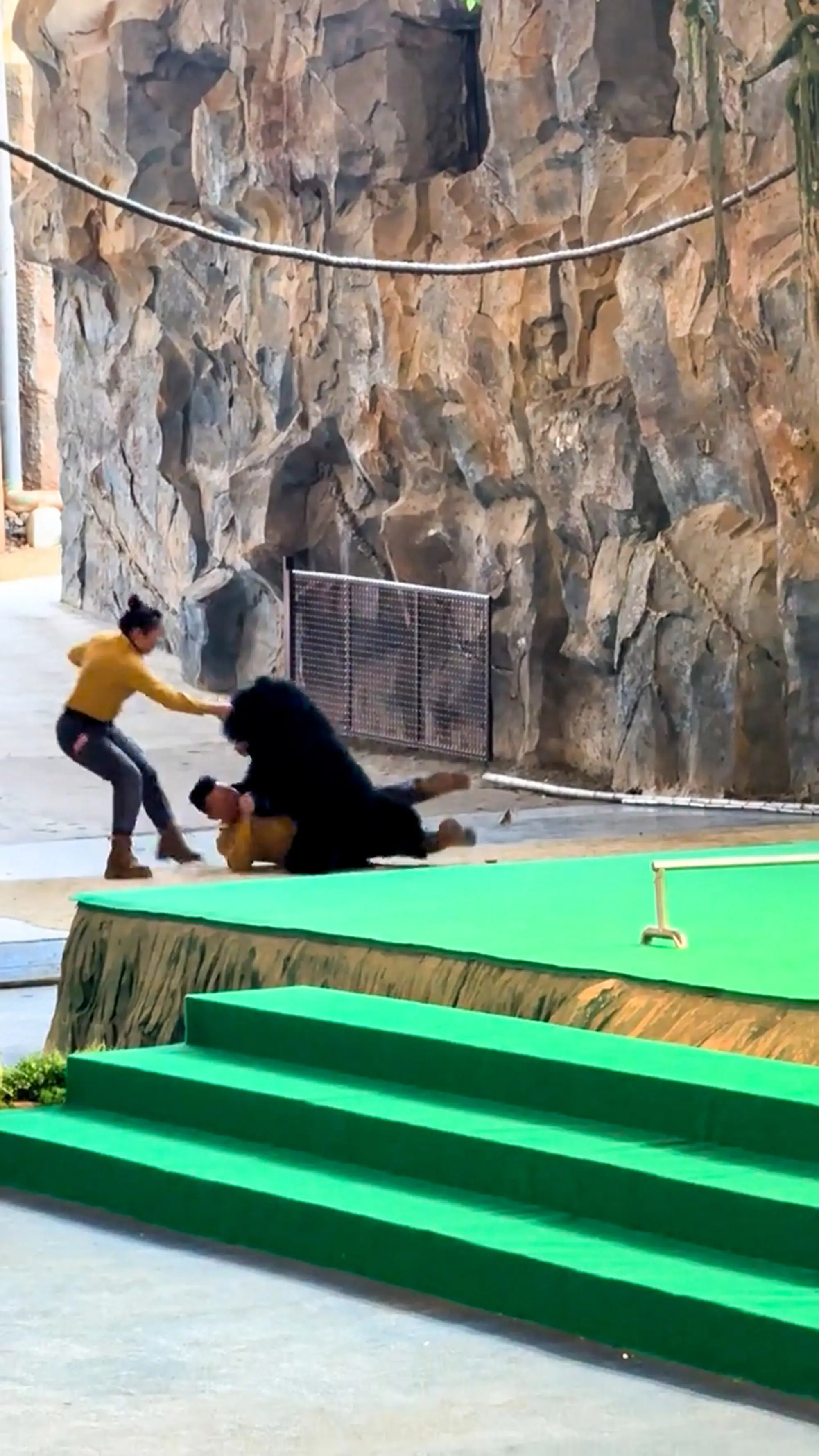 The clip sparked allegations of animal abuse (NEWSX)