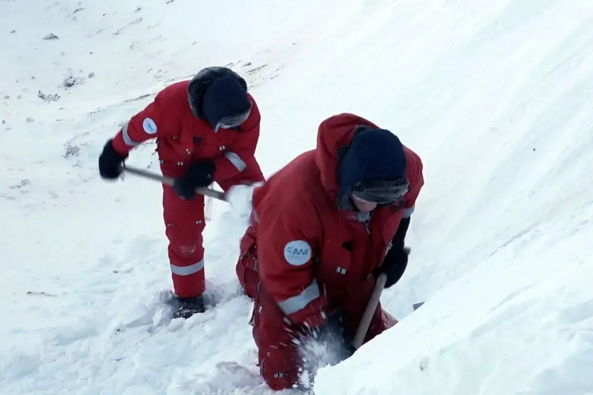 The crew had to step in. (BBC)