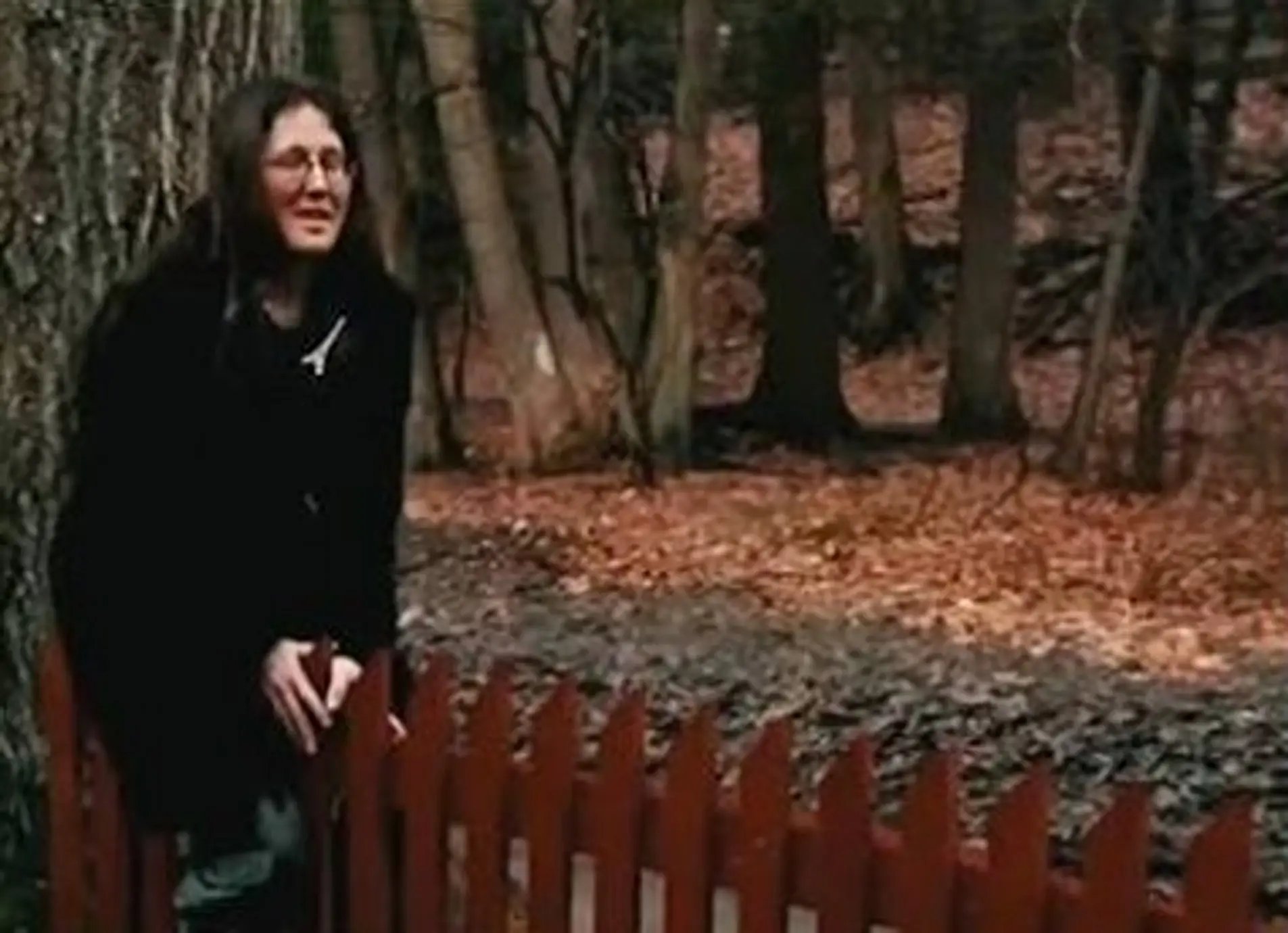 Erika enjoyed a brief moment with a red fence (YouTube)