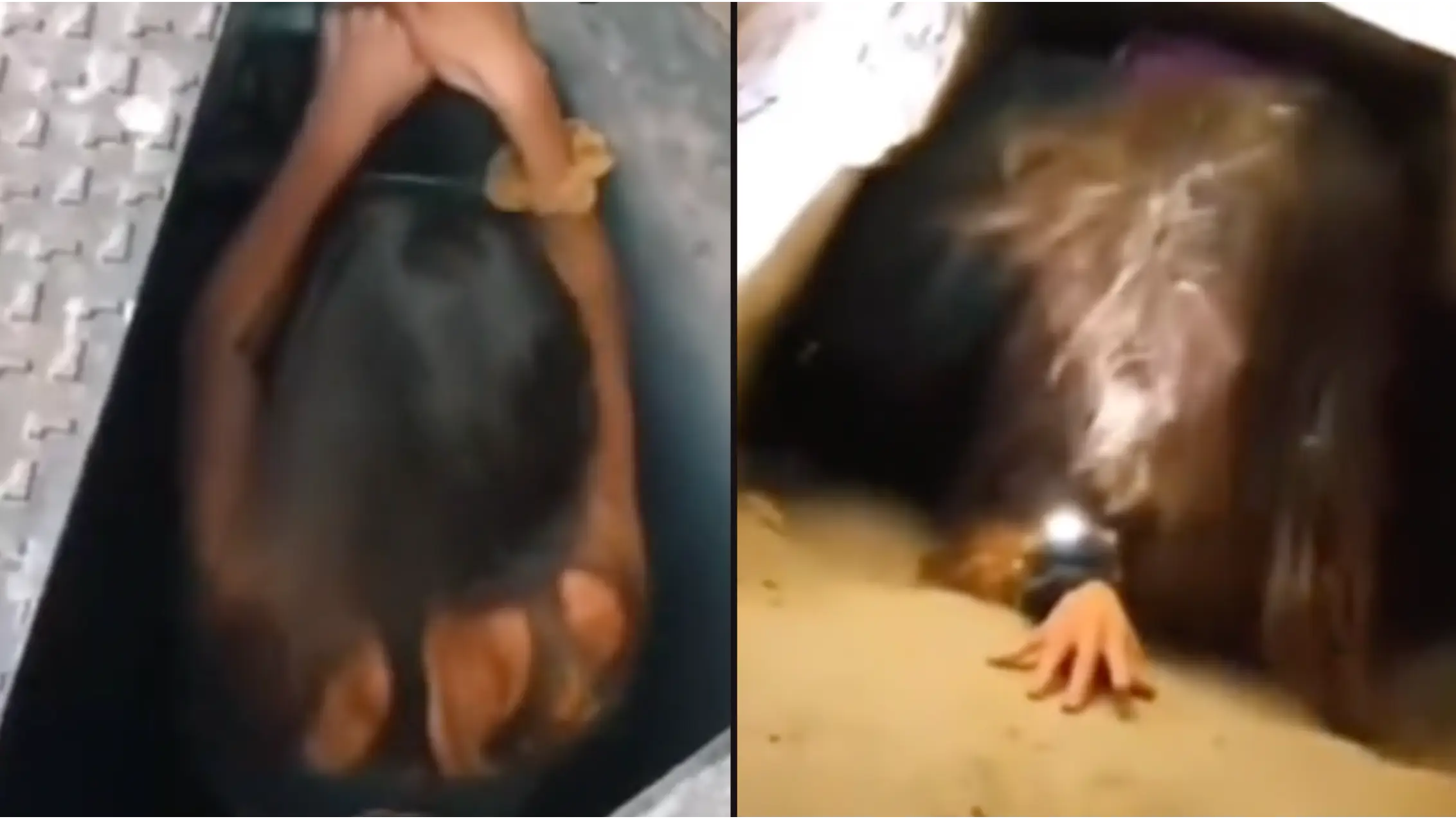 TikTok/@americanfille