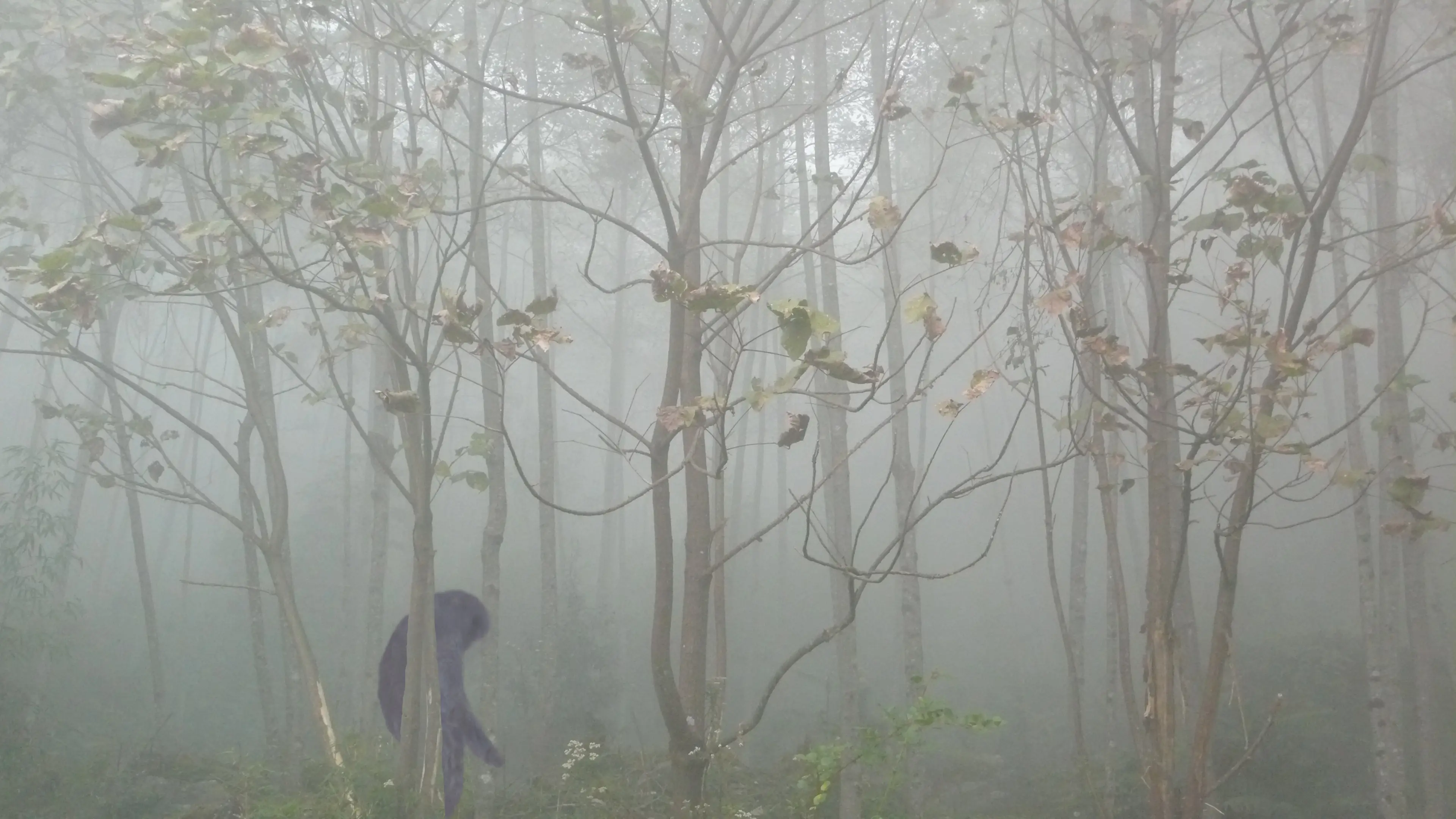 Why are the images never clear? (Istvan Hernadi photography... Mountain Visions / Getty)