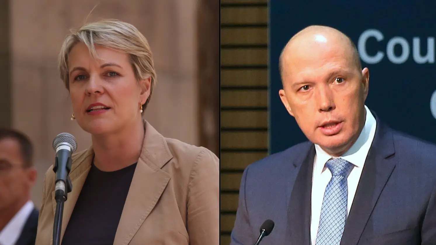 Tanya Plibersek Apologises For Saying Peter Dutton Looks Like Voldemort