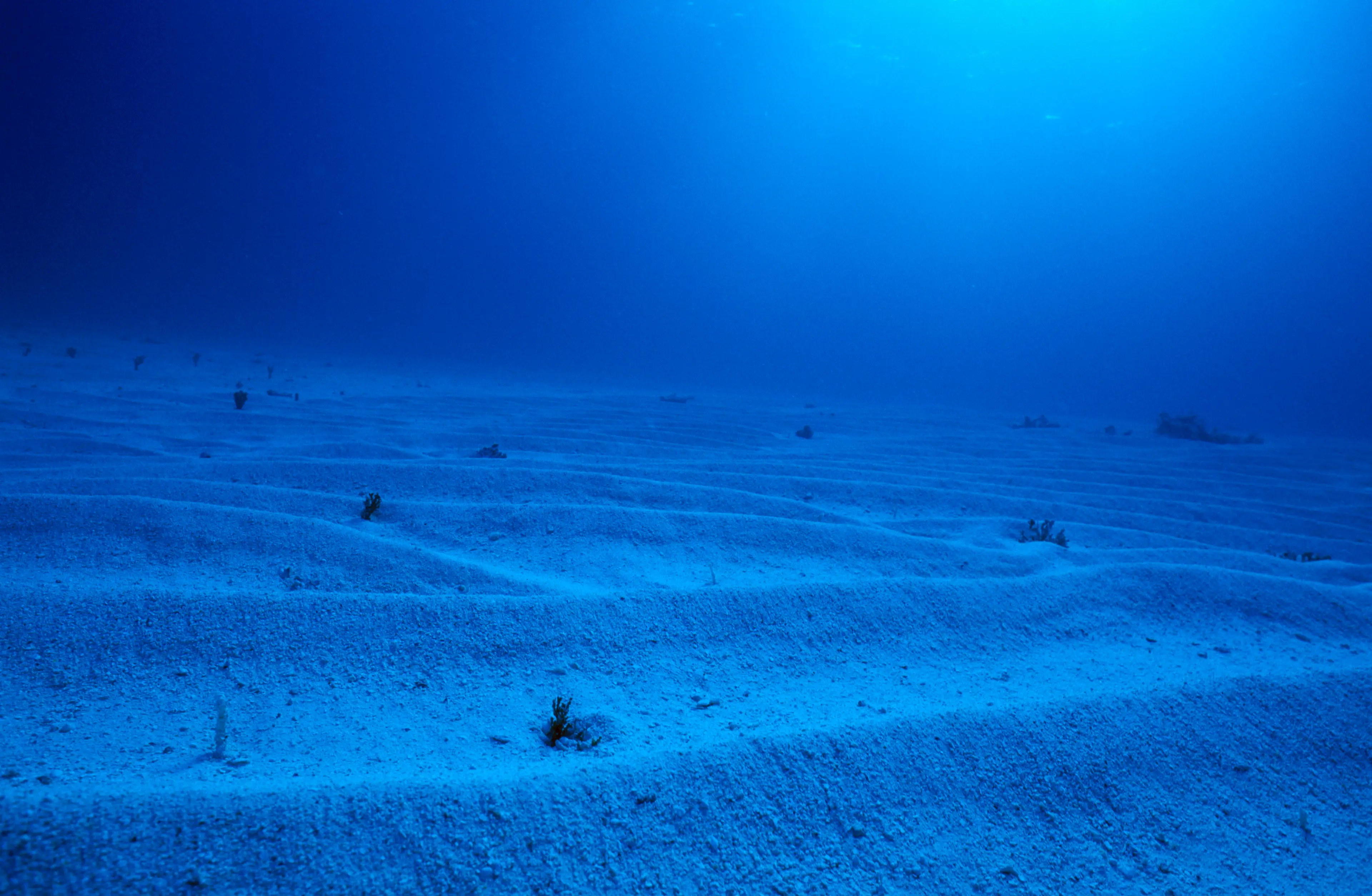 The seabed might not support construction (Getty Stock Images)