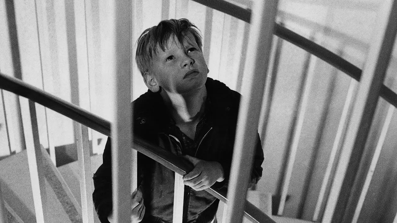 The film is a harrowing watch (BBC)