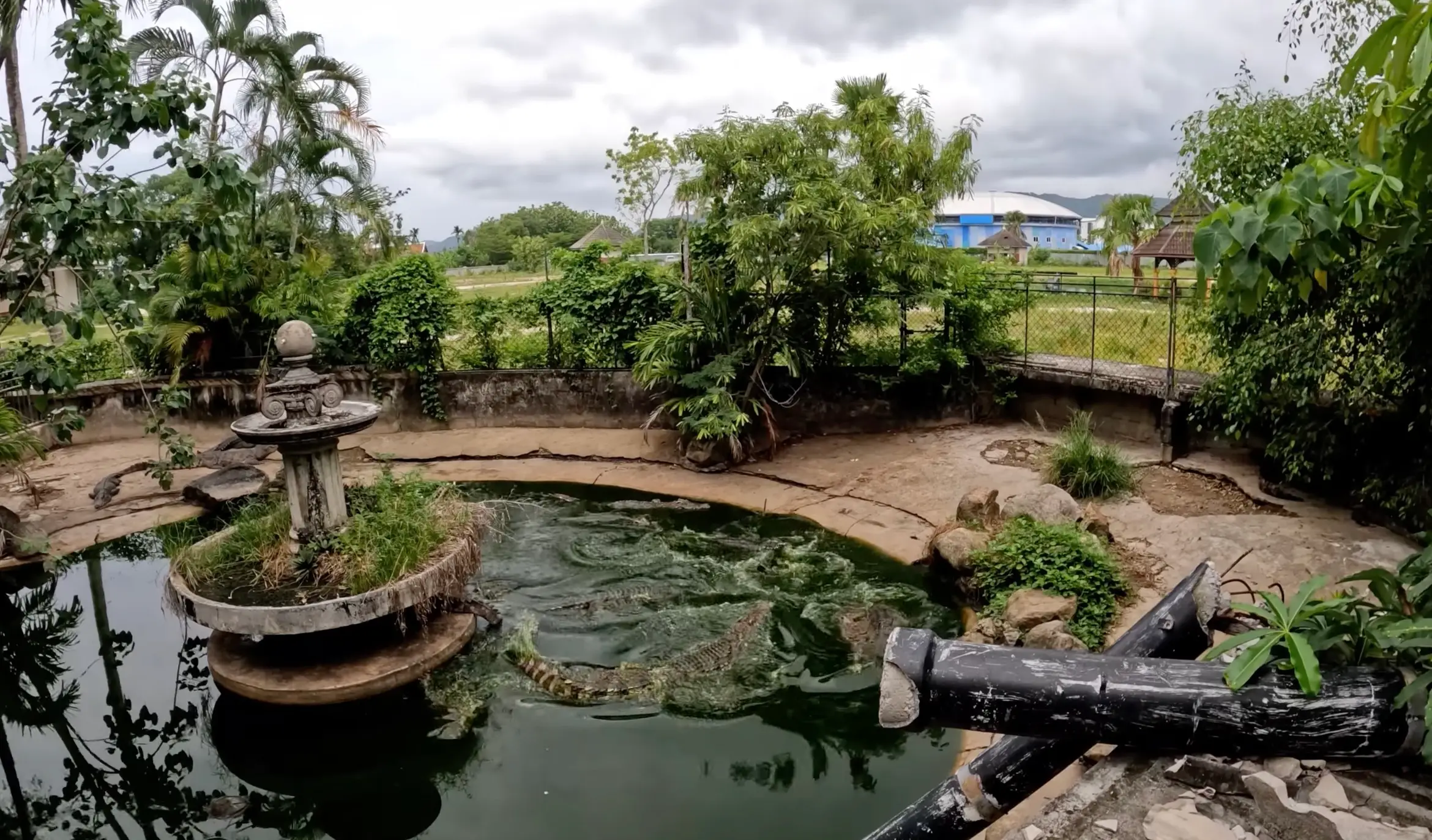 He claims a dozen crocodiles were still on the premises (YouTube/SeanKing5150)