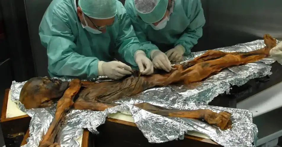Ötzi was so well preserved that scientists could see what was in his intestines.