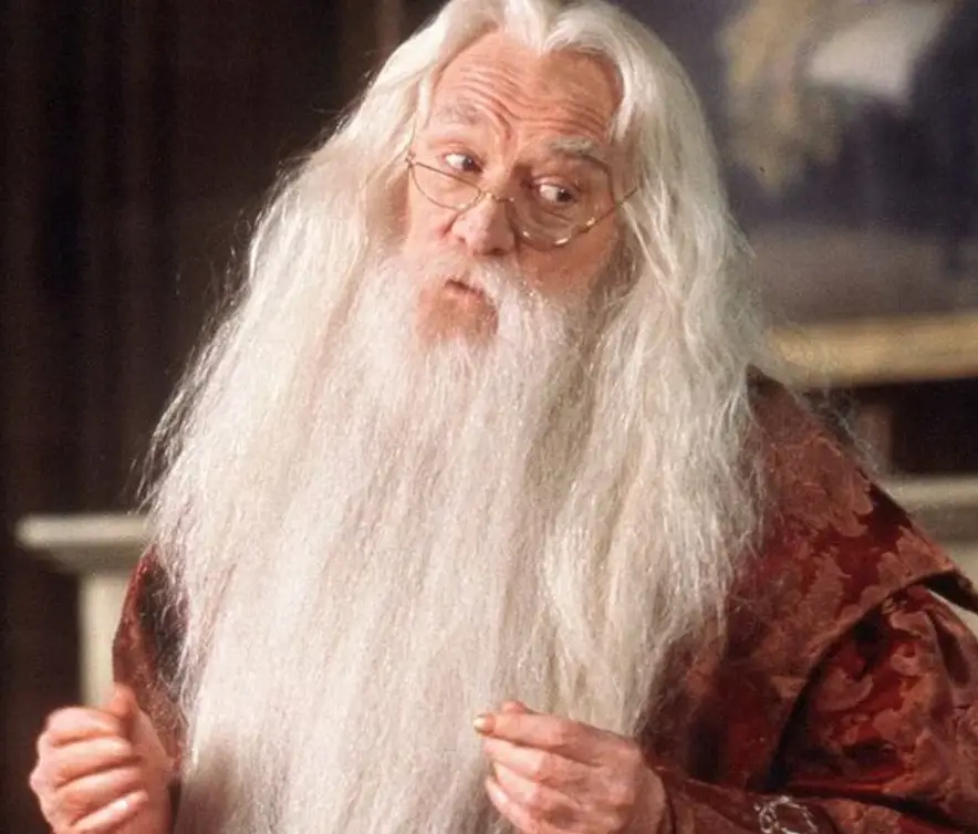 Harris played Dumbledore in the first two films. (Warner Bros)