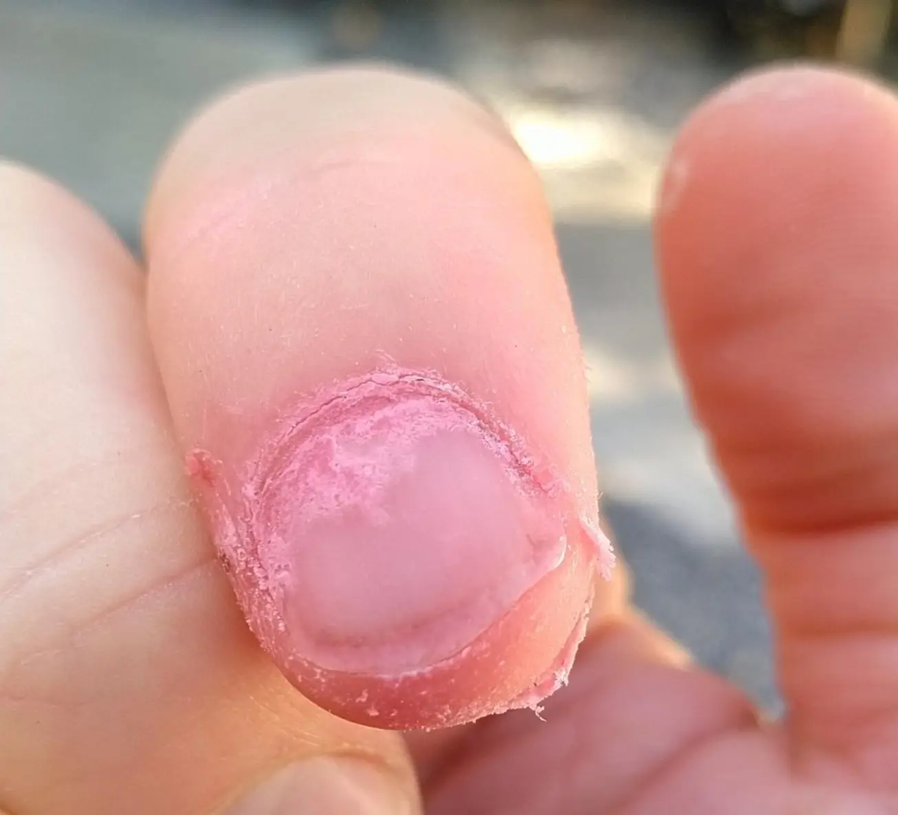 He was caught pink handed. (Merseyside Police)