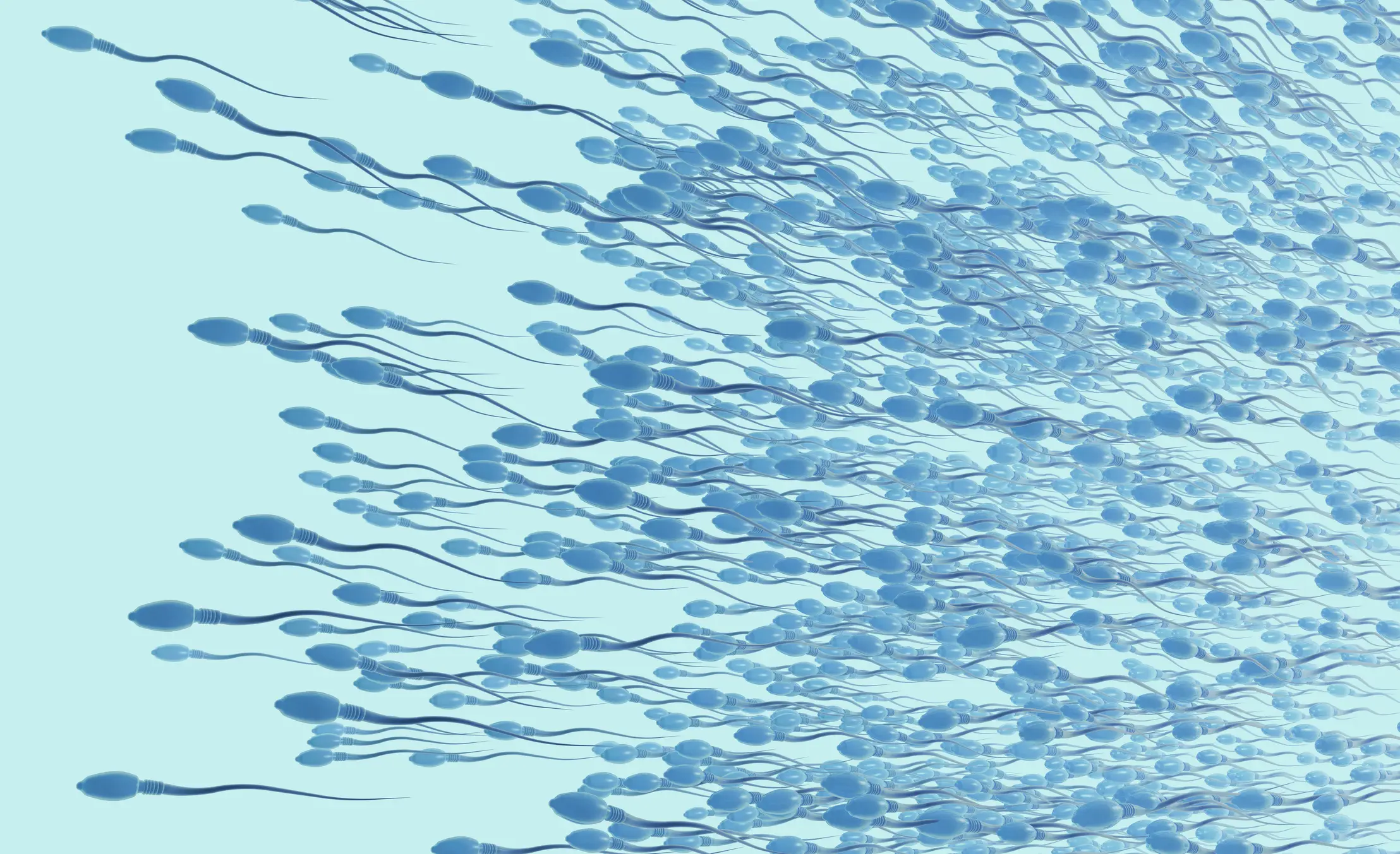 It works by preventing sperm from leaving the urethra (Getty Stock Photo)