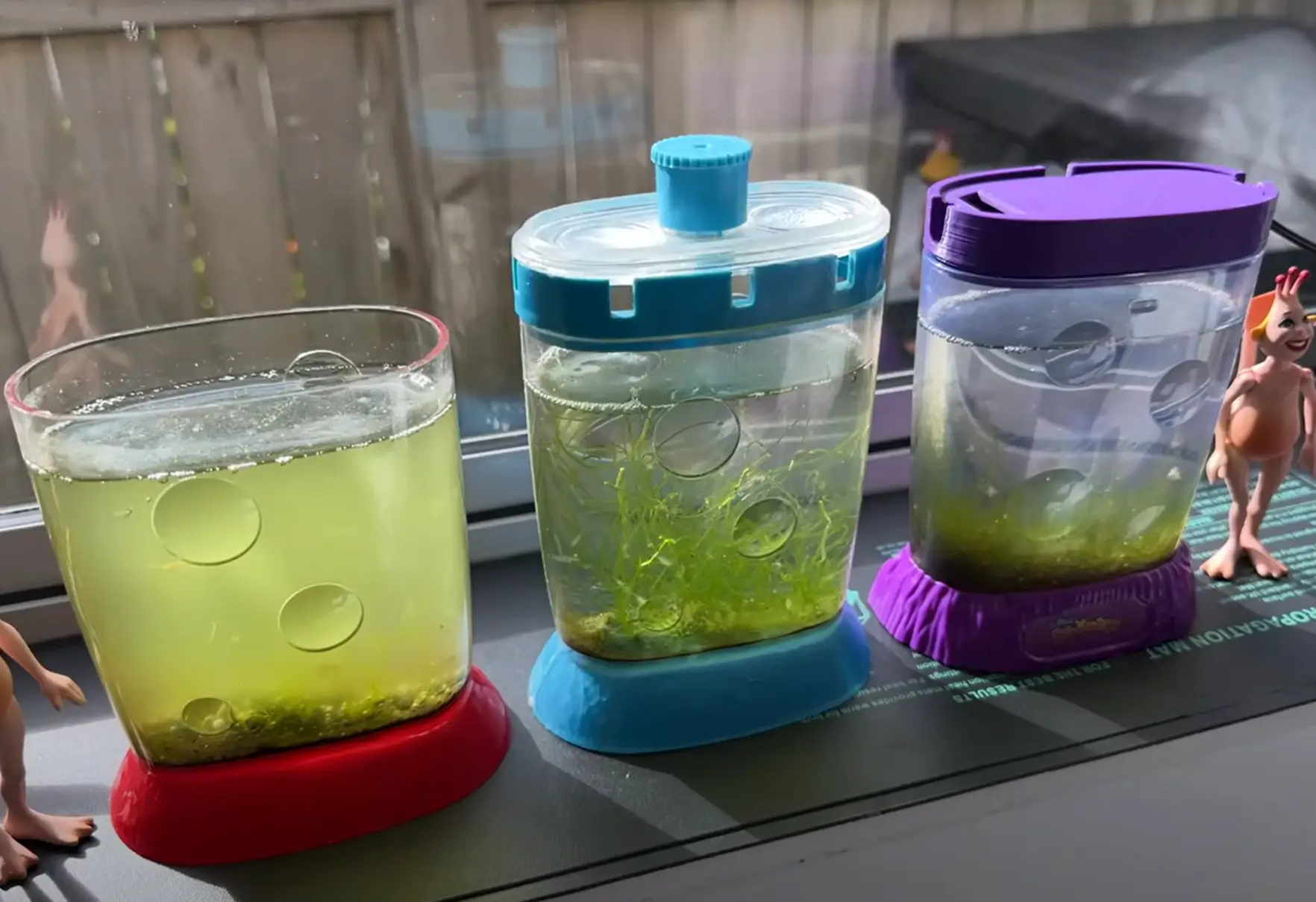 Aww, look at the Sea Monkeys.  (YouTube/Picocosmos)