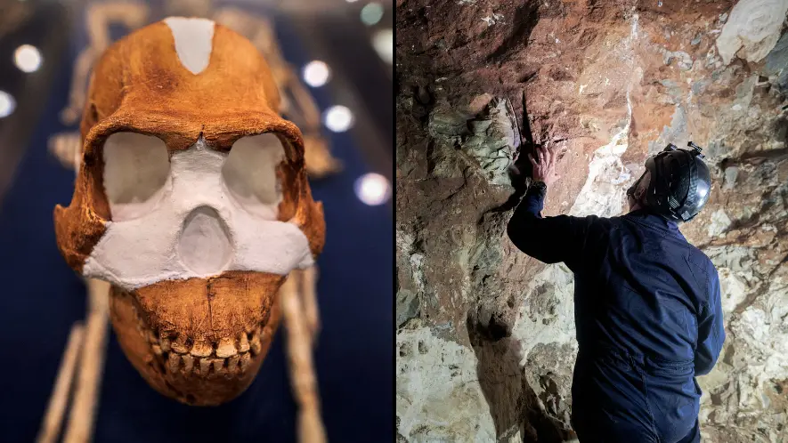 Oldest known burial site on planet Earth wasn't actually created by our species