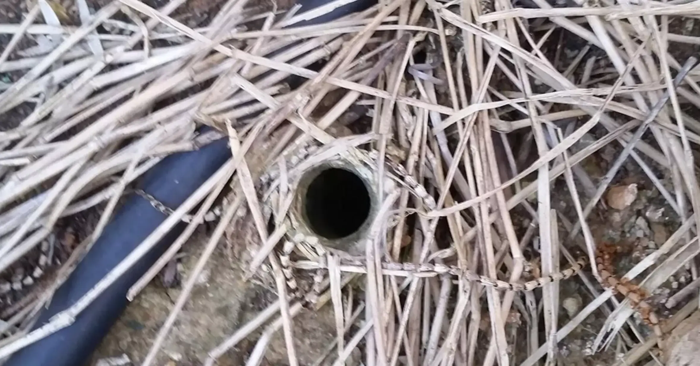 Here's the hole he discovered.