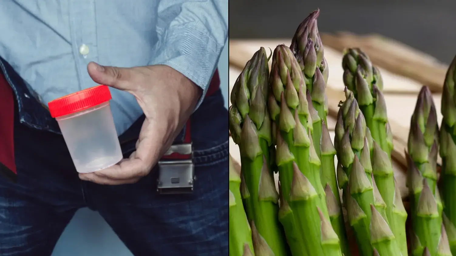 Dmitrii Melnikov/Westend61 Pixabay