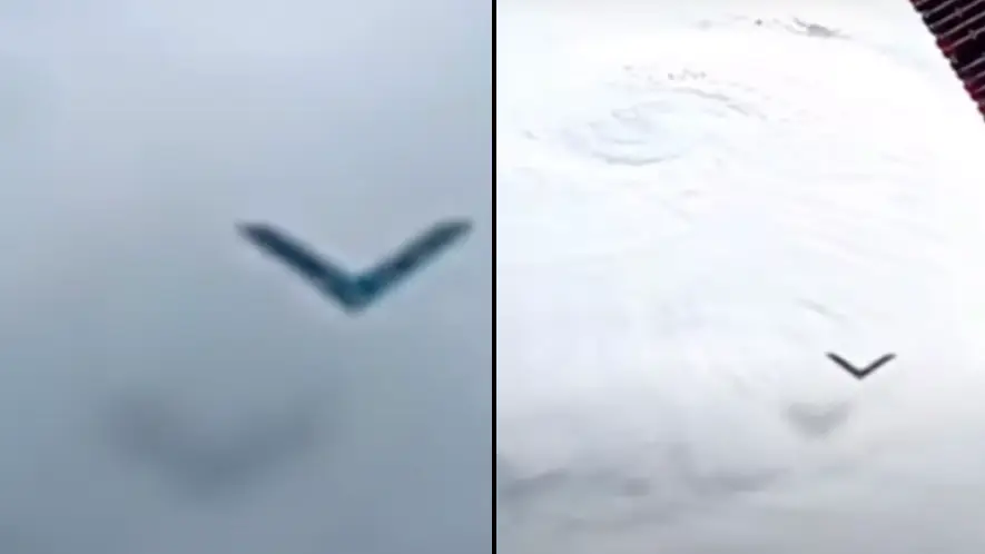 Youtube/Disclose Screen The Grimreefar