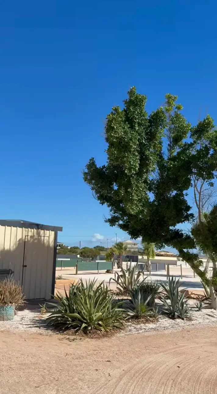 The caravan park showed how blue skies had resumed on Saturday (Facebook/Shark Bay Caravan Park)