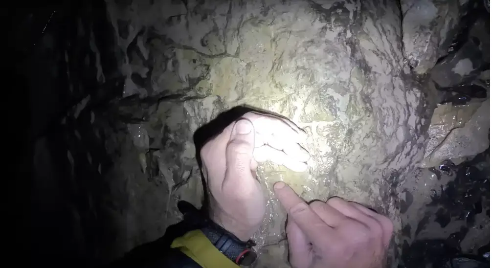 The team found a 'never seen before' creature (YouTube/@ruhicenetvideos)