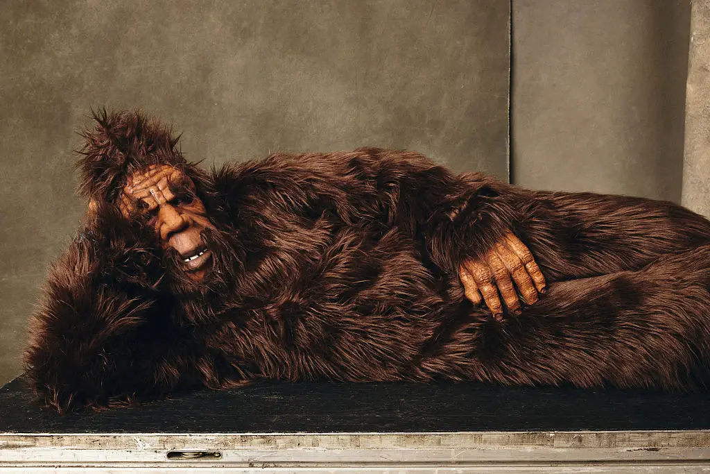 It turns out that Bigfoot isn't actually real (Robby Klein/Getty Images for IMDb)