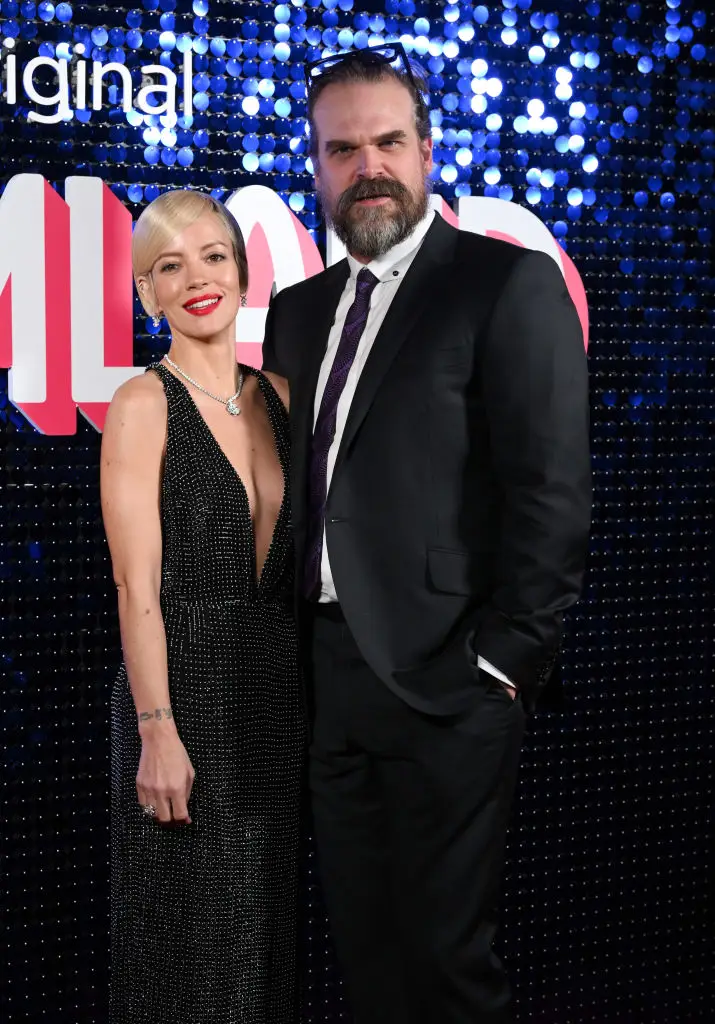 David Harbour and Lily Allen were married for four years (Karwai Tang/WireImage)