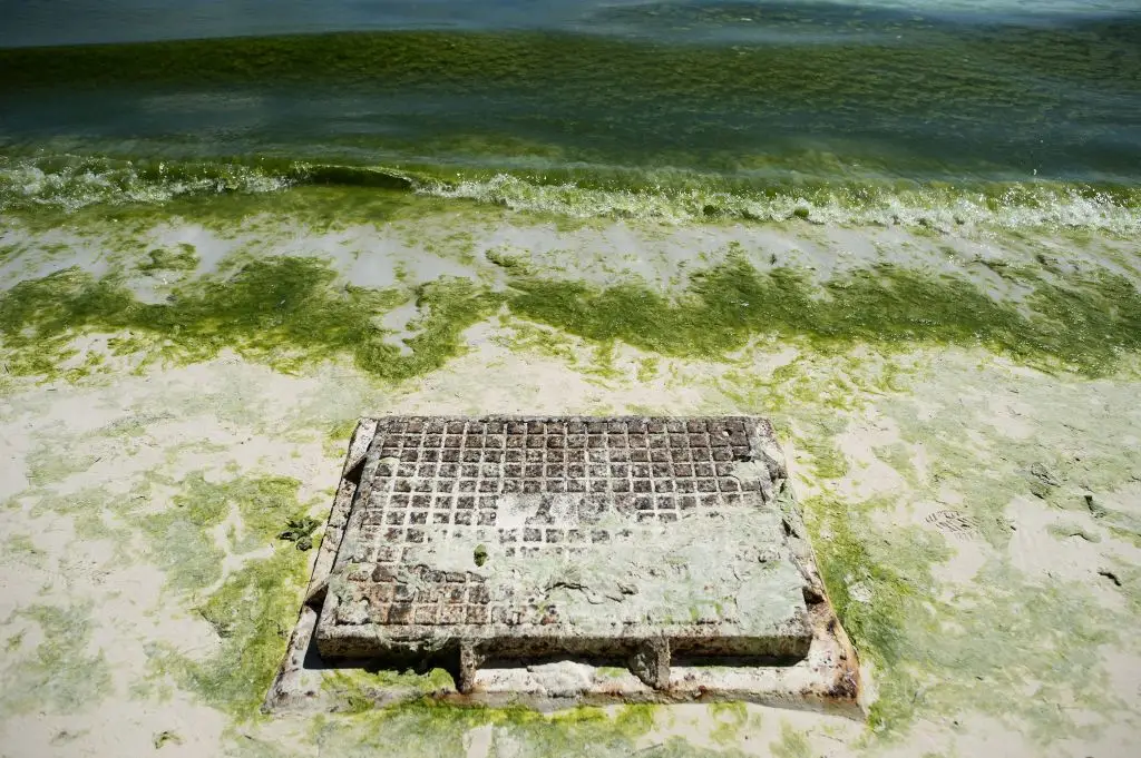 The resort was closed for six months back in 2018 (NOEL CELIS/AFP via Getty Images)