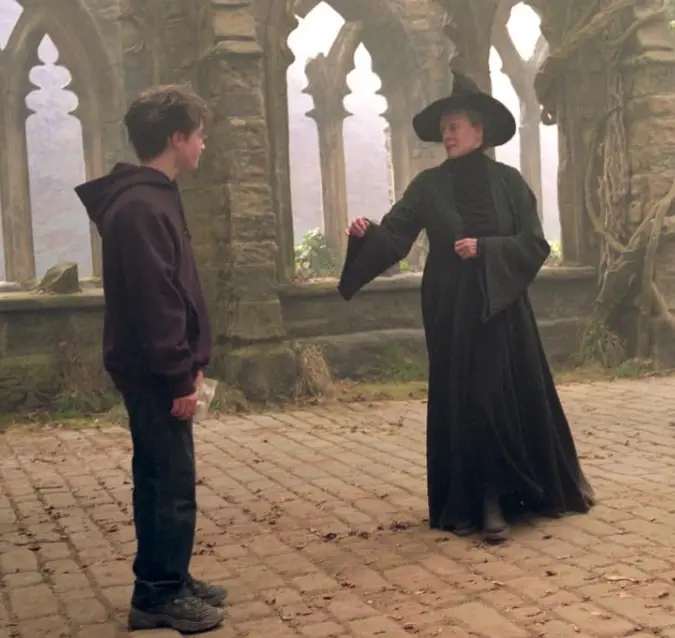 Maggie Smith has died (Warner Bros)