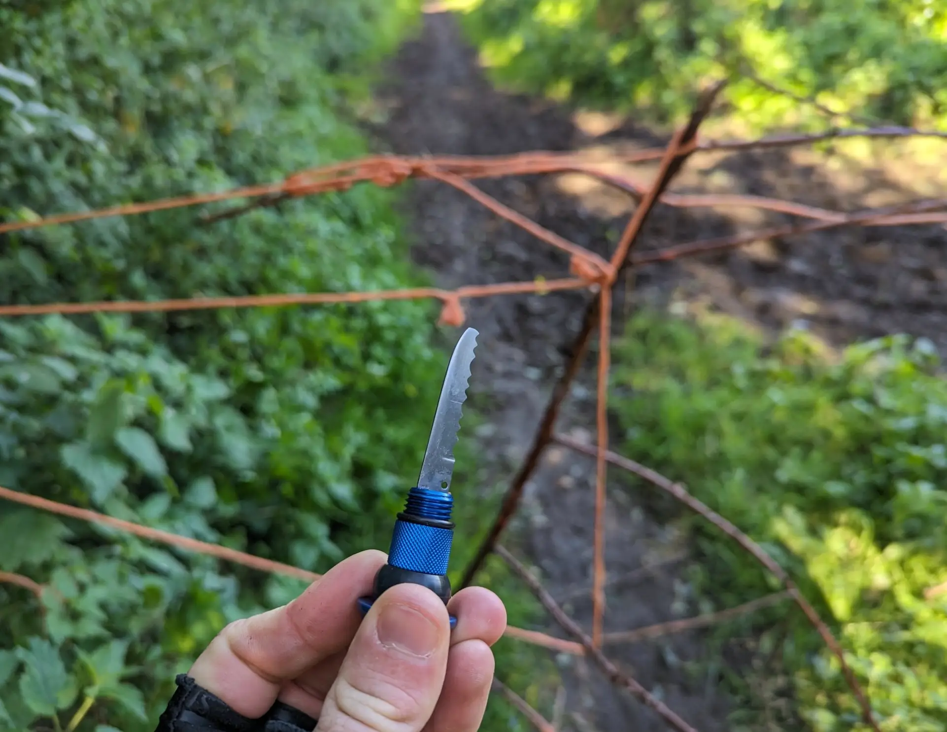 The biker did some quick thinking and cut through the twine with a knife he carried in his tool kit.