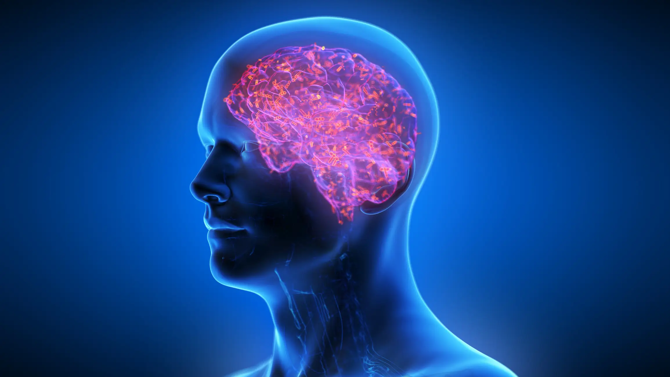The neurons in the brain and central nervous system begin to malfunction (Getty Stock Photo)