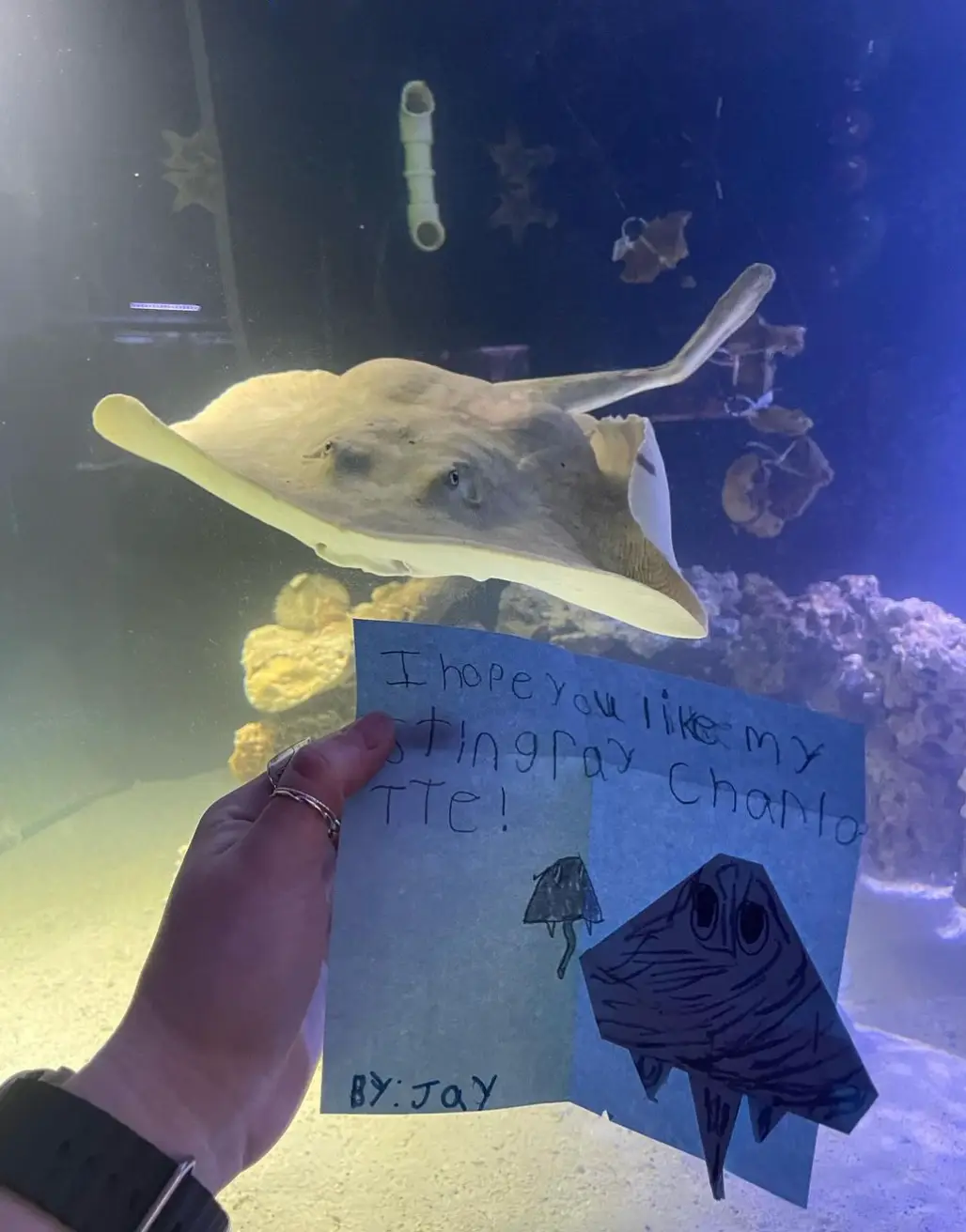 Charlotte had a lot of fans. (Instagram/@teamecco)