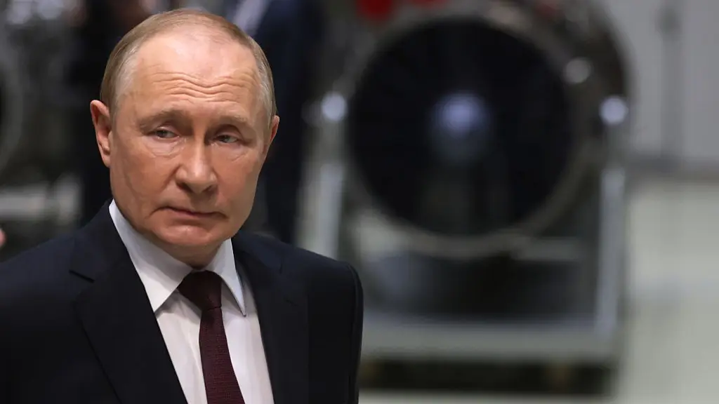 Contributor/Getty Images