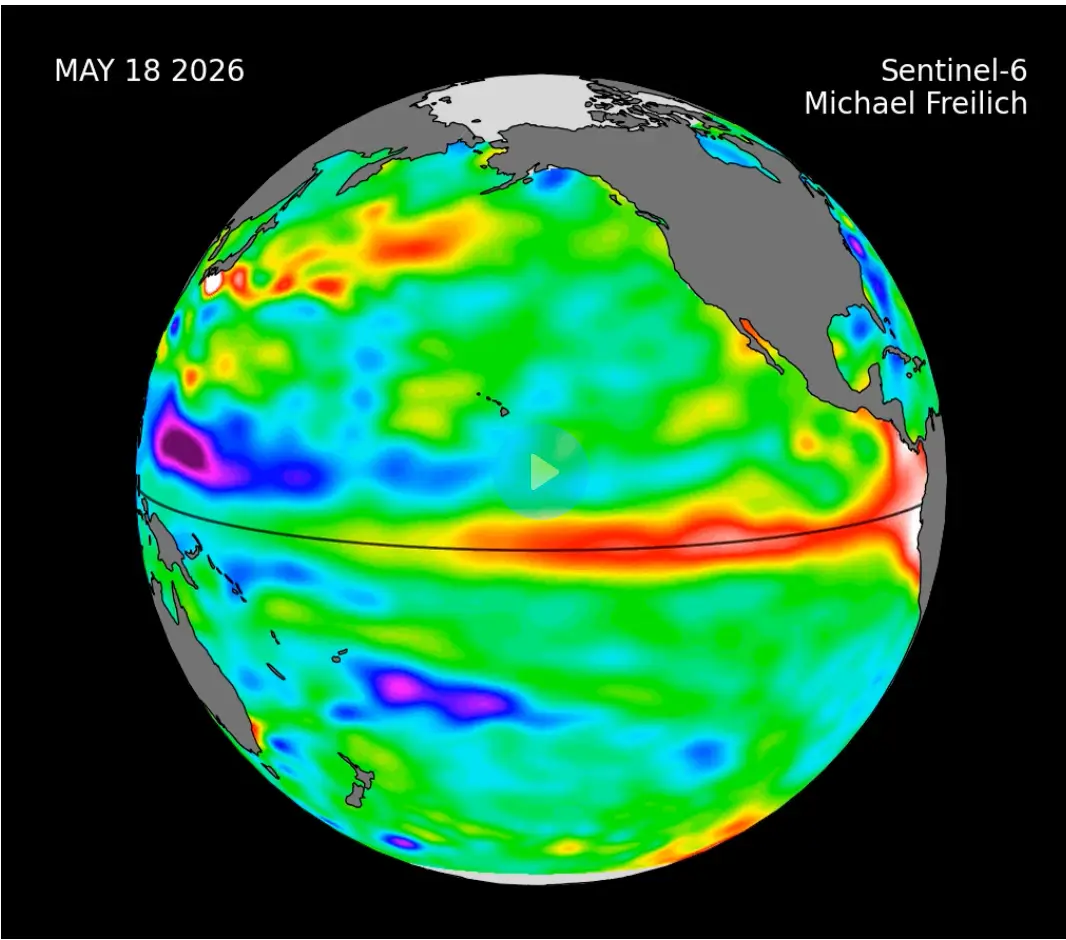 Warm Kelvin waves often precede El Niño events. (NASA/JPL-Caltech)