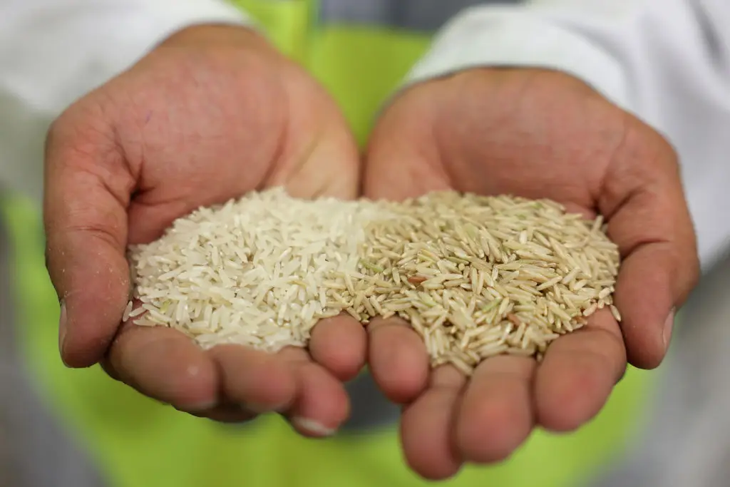 Rice production could be hit (Hollie Adams/Bloomberg via Getty Images)