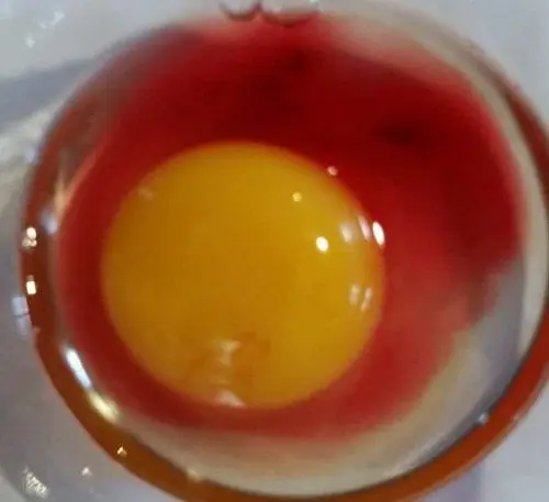 Here's another potentially spoiled egg.