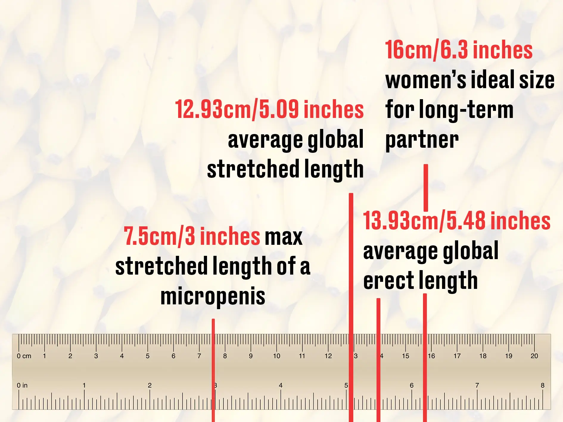 The lengths of an average penis size, a micro-penis and women's ideal penis size based on a 2015 study (Getty Stock Images/LADbible)