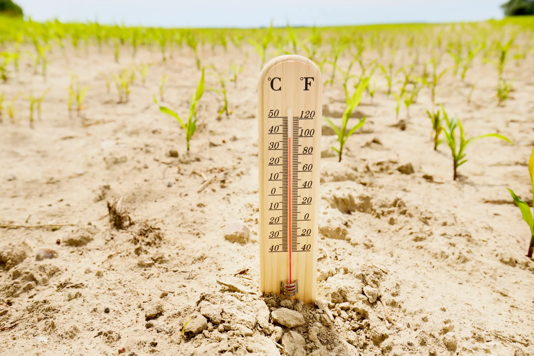 The Earth is getting hotter (Getty Stock)