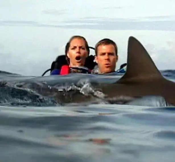 Their story inspired the 2003 horror film Open Water (Lions Gate Films)