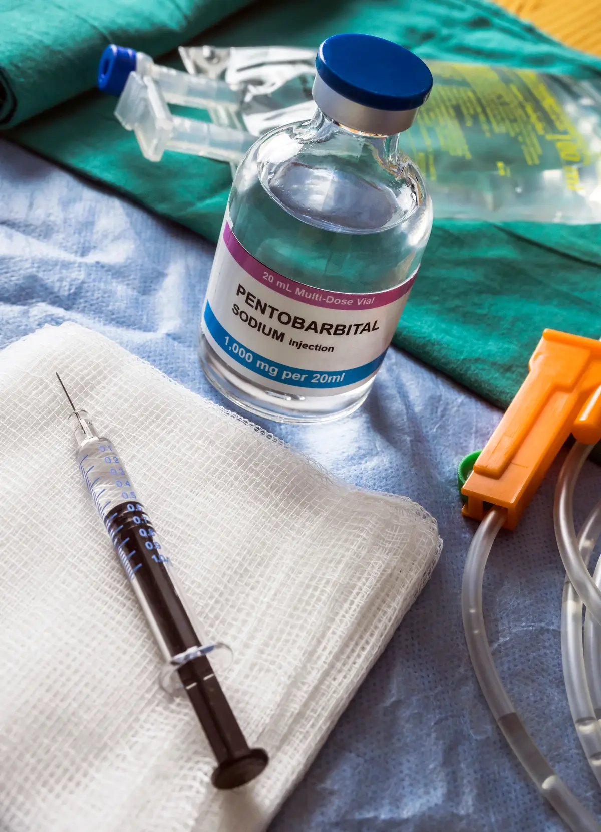 Euthanasia can be more expensive than many anticipated. (Getty Stock Photo)