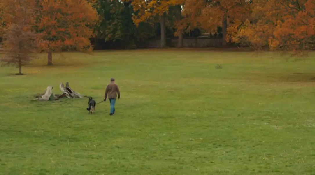 Viewers have been touched by the ending of After Life.