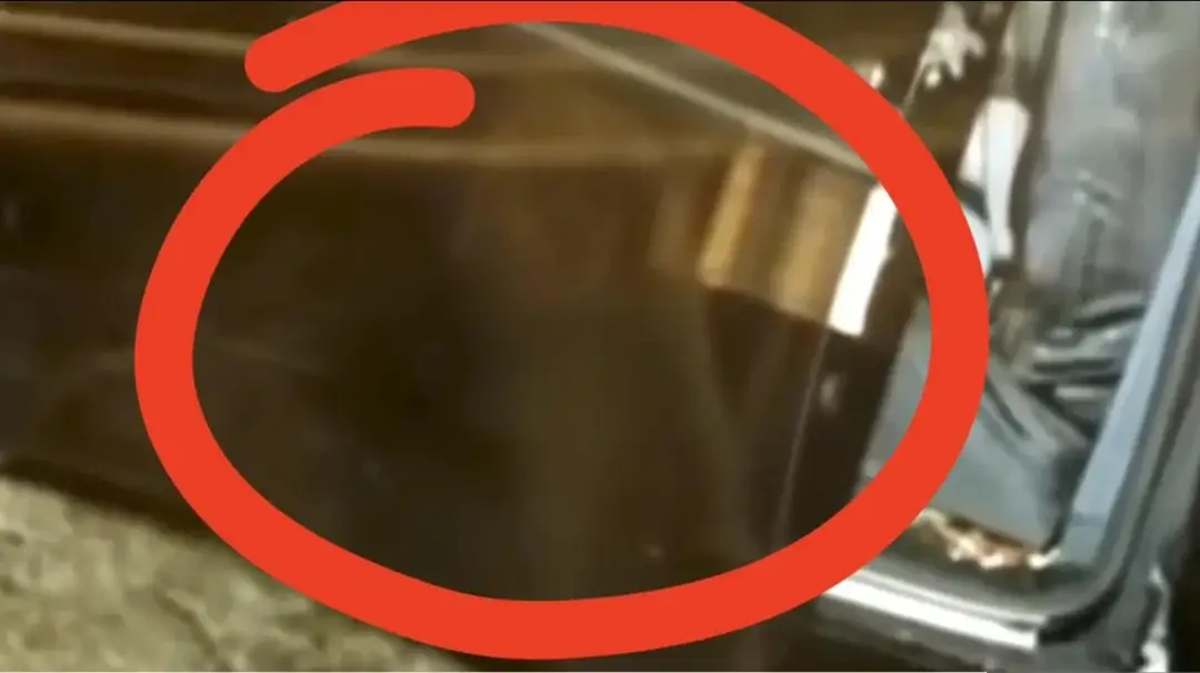 The faint outline of what could be a dog (Saint Paul Police Department/Reddit)