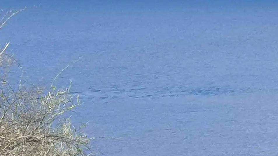 Loch Ness Monster Hunting Pals Think They Spotted Mythical Beast