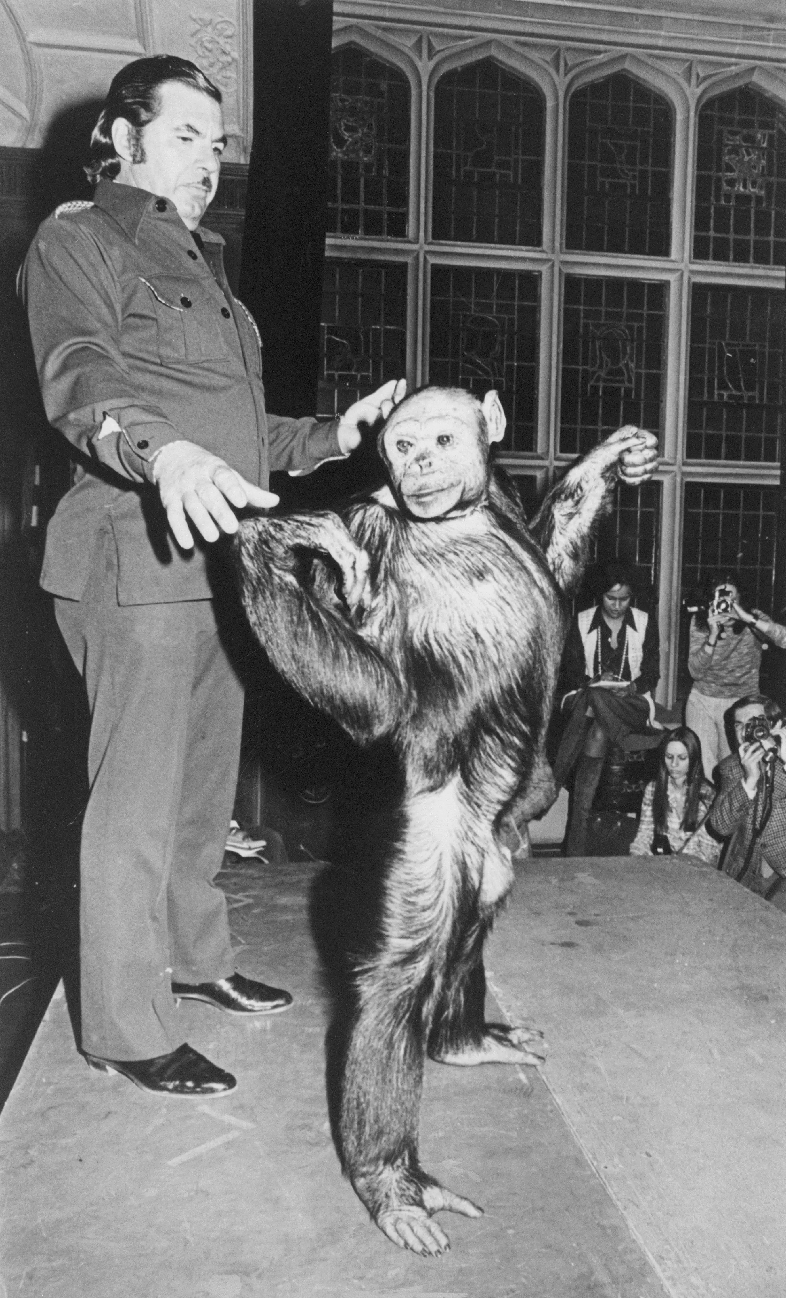 Oliver the Chimpanzee and South African animal handler Frank Burger. (Bettmann/Getty Images)