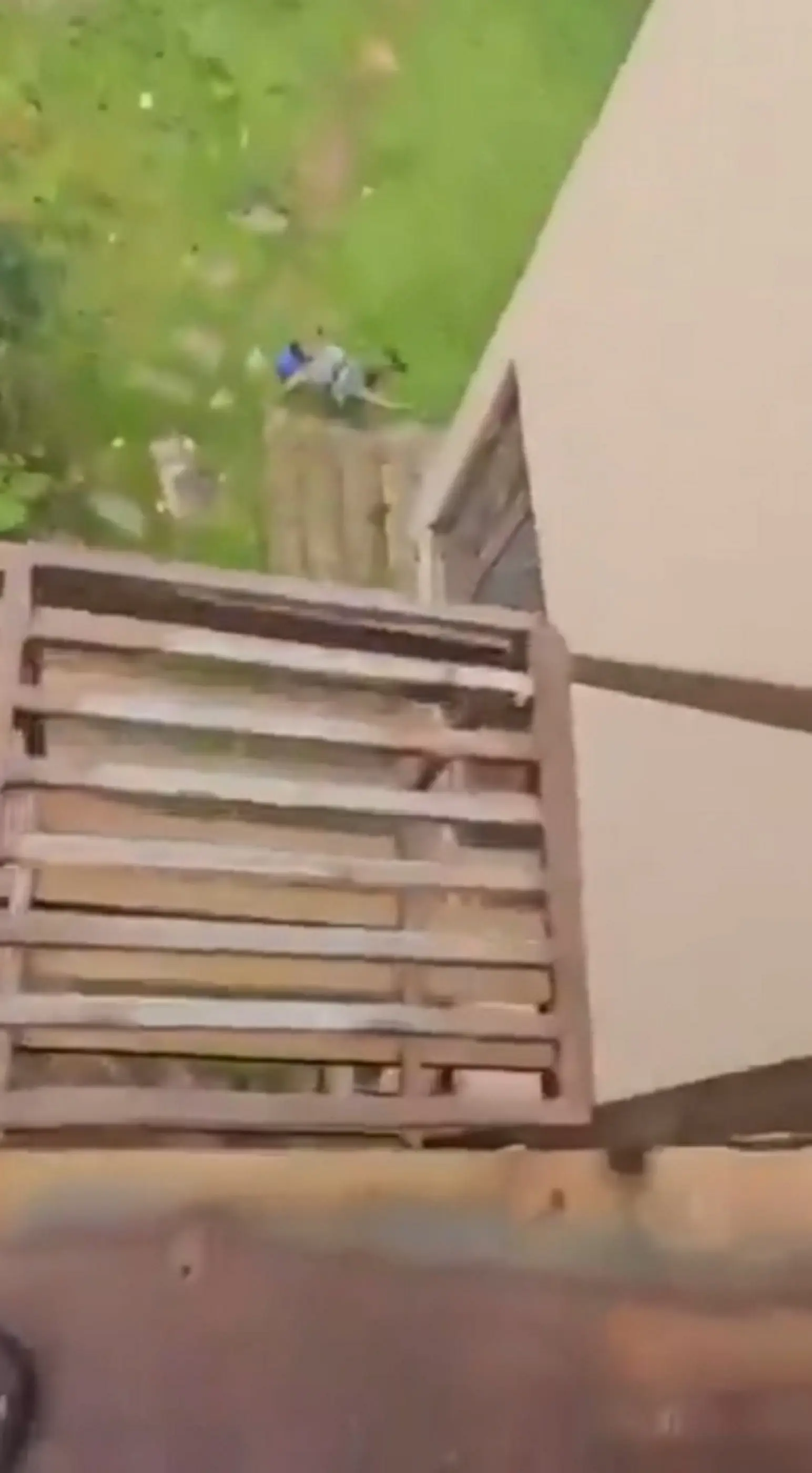 He landed on some stairs (SWNS)