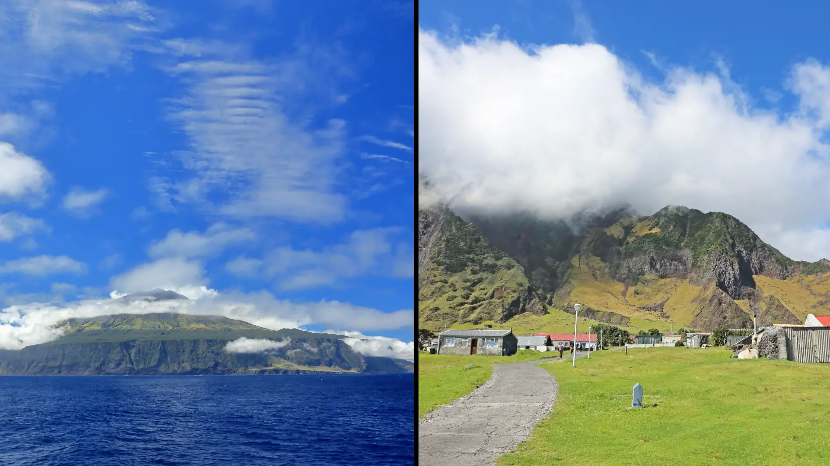 David Forman via Getty Images