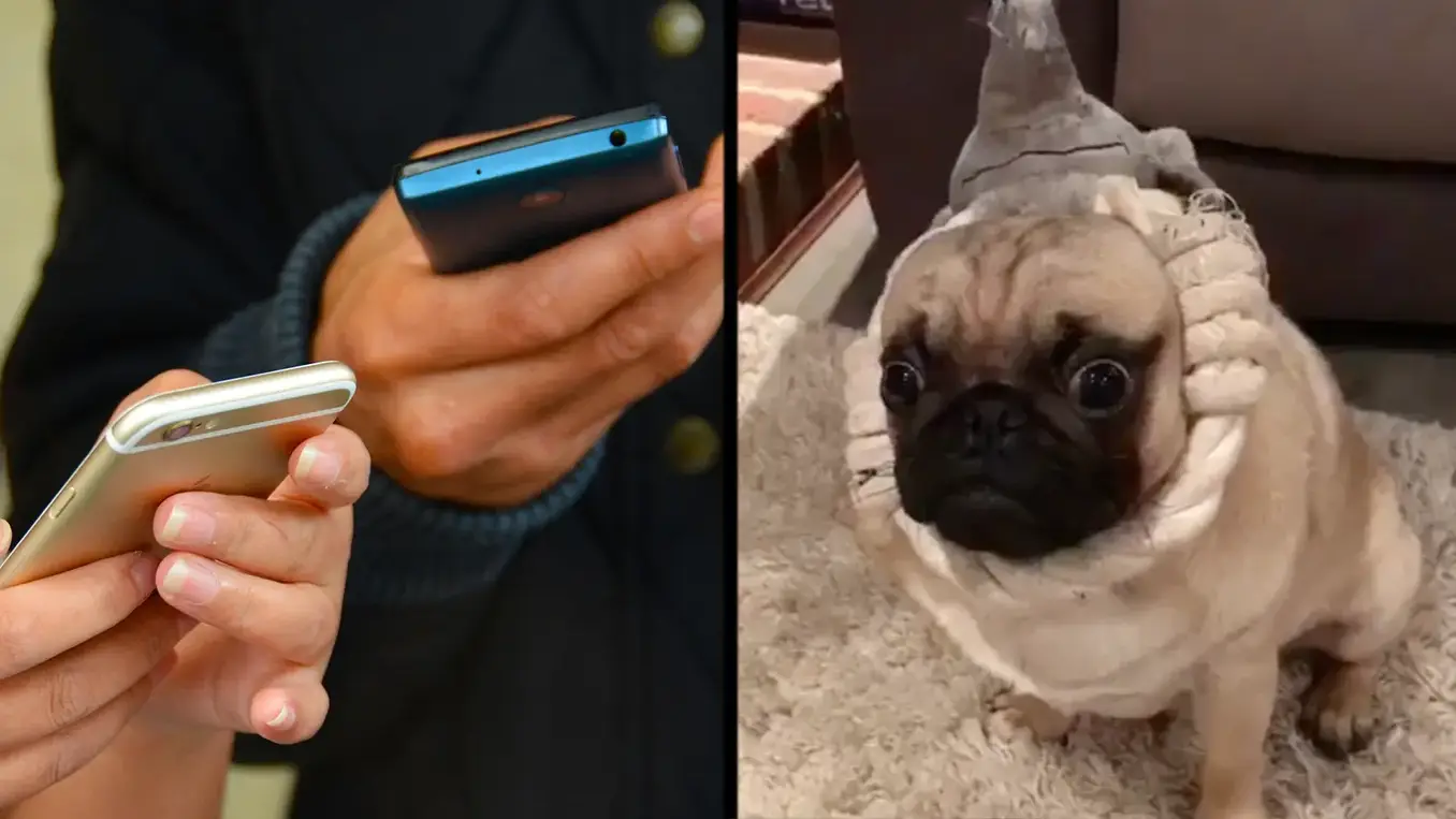 44% of you have sent a New Year’s Eve message you’ve regretted