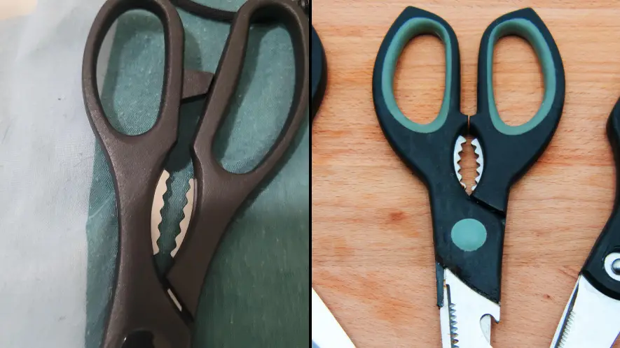People left mindblown after discovering what metal part between handle of scissors is for