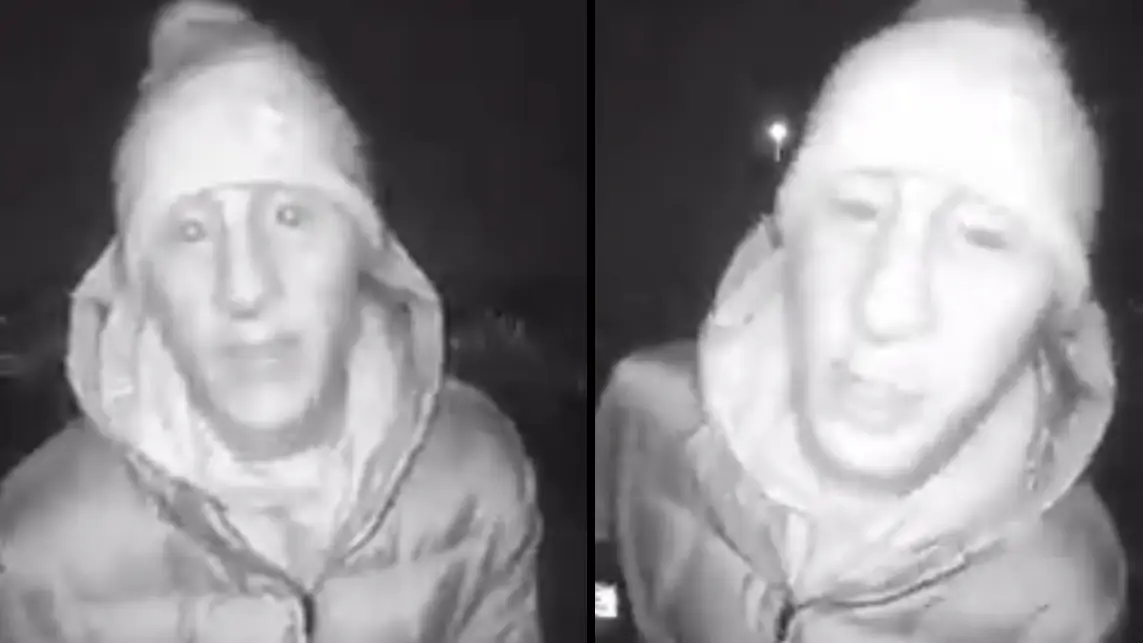 Twitter/@w00den_bench