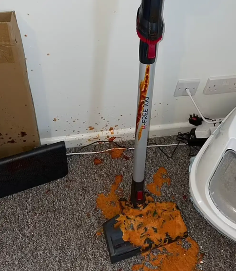 Jordan pleaded guilty to criminal damage.