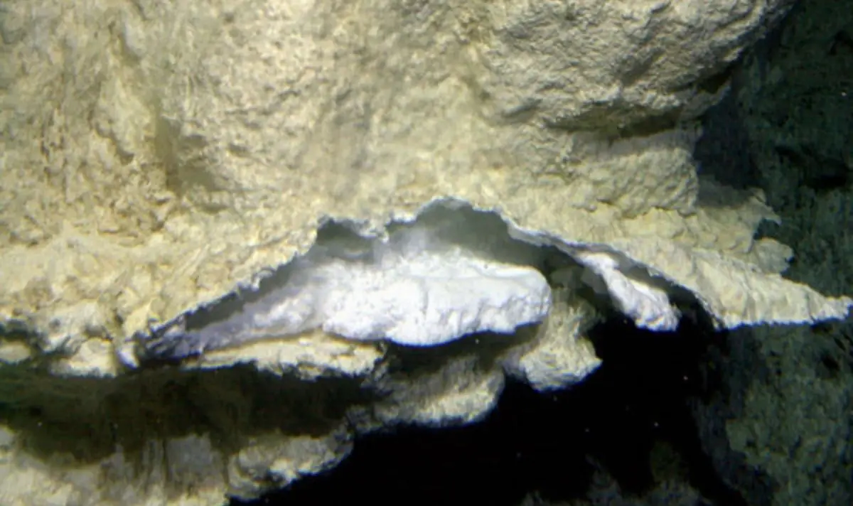 Scientists have called to protect the site from mining damage. (University of Washington/Woods Hole Oceanographic Institution)