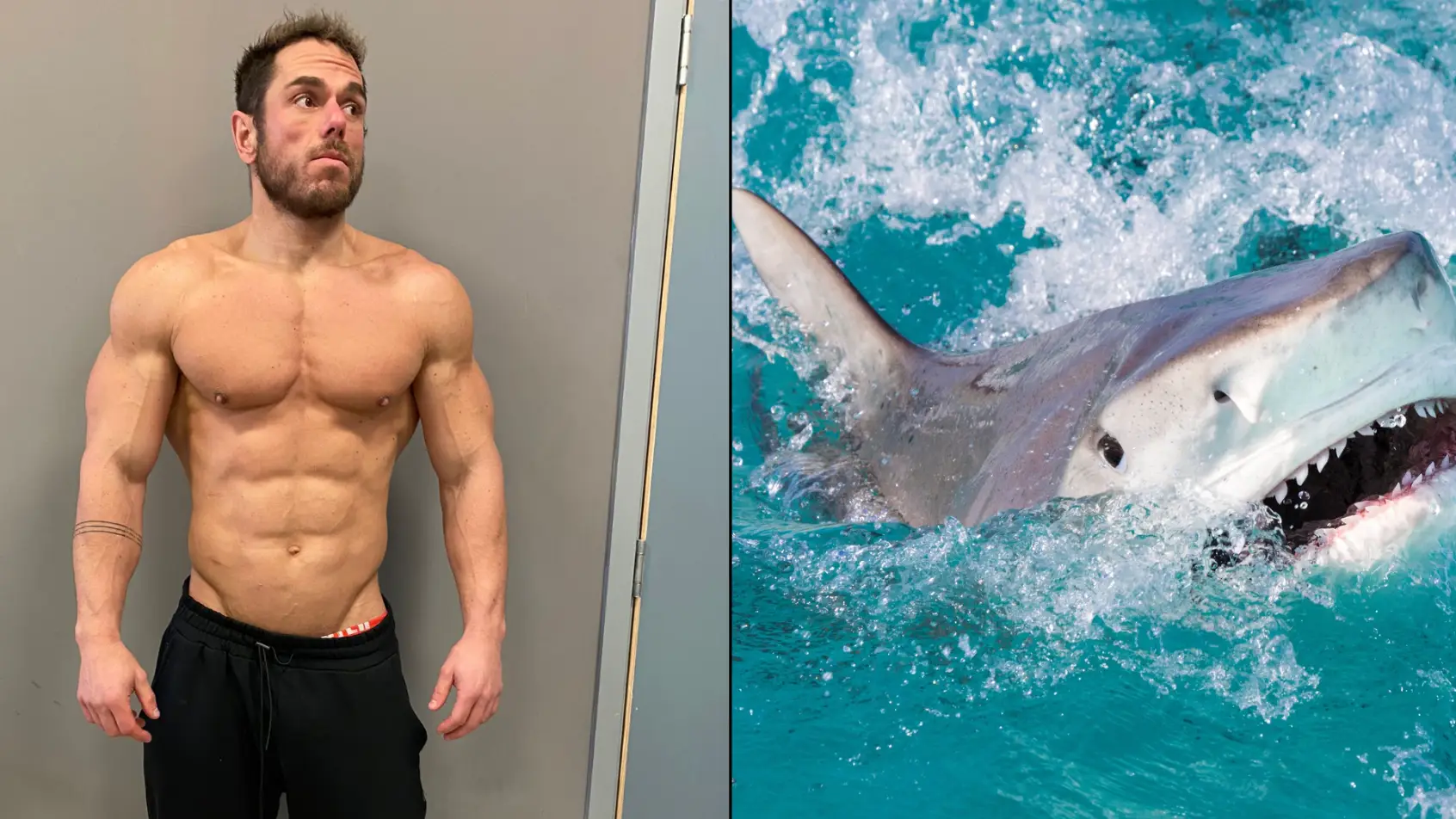 Supplied/Gregory Sweeney/Getty Images