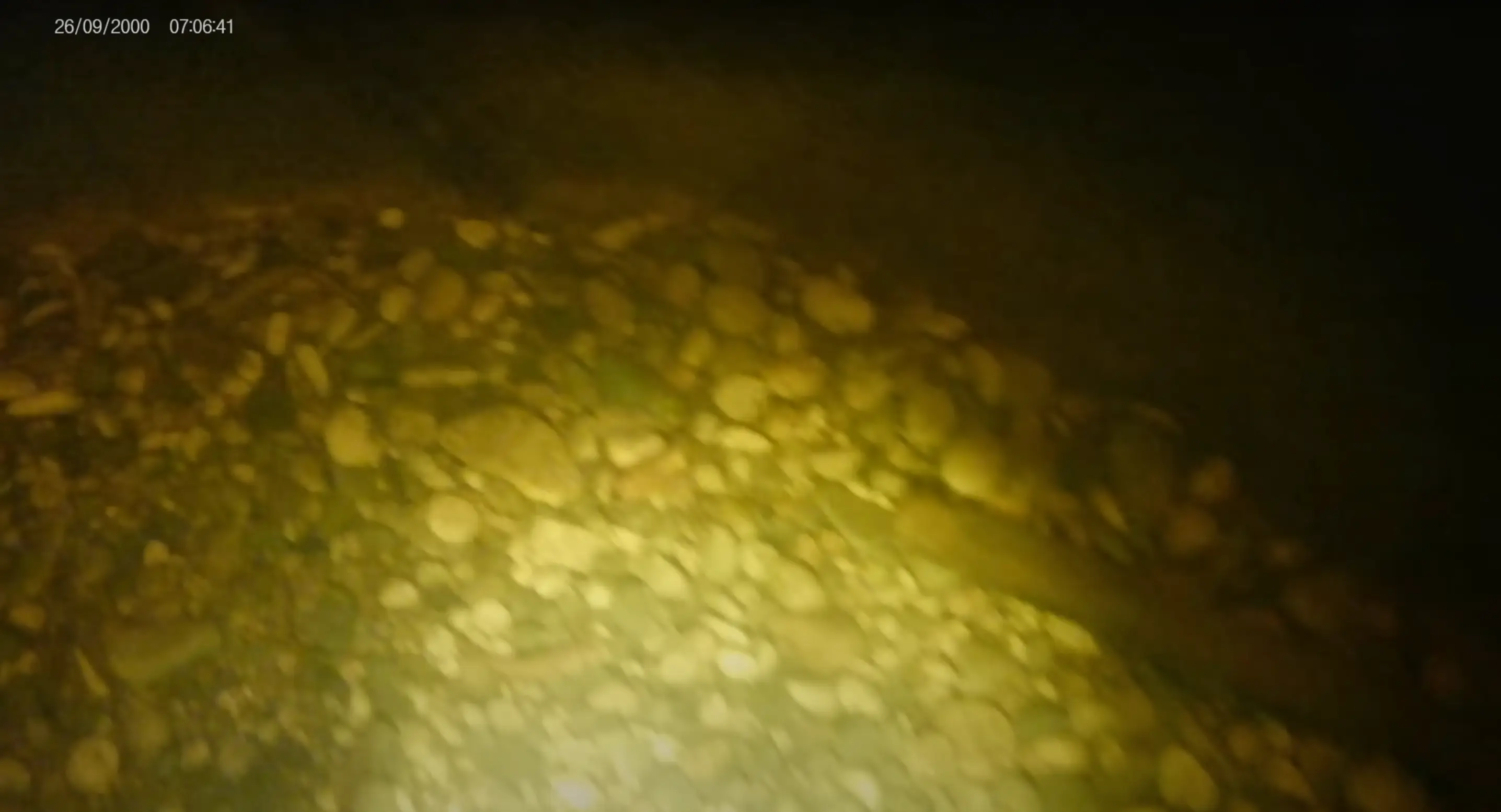 (YouTube/jack a snacks)